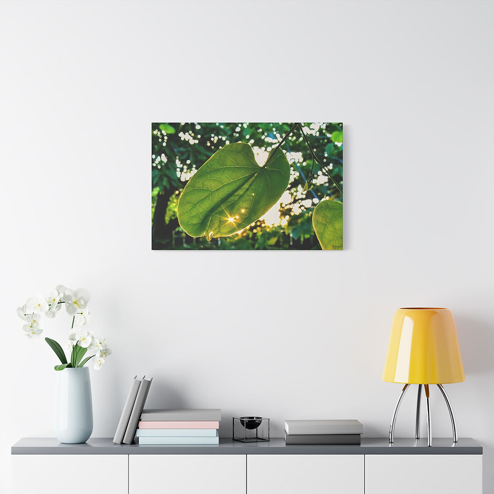 Thumbnail: Piercing Dawn Canvas Print