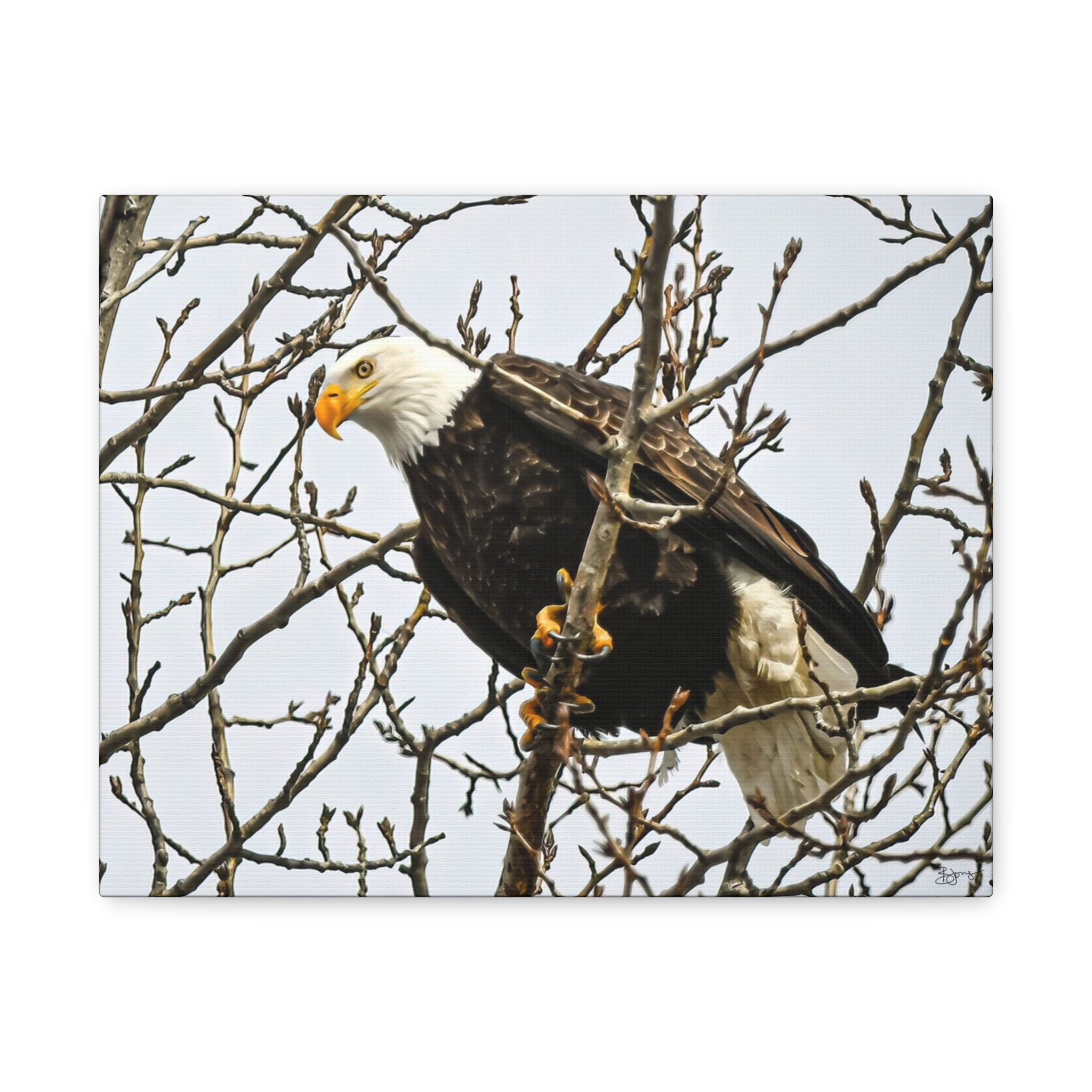Winter Sentinel Canvas Print