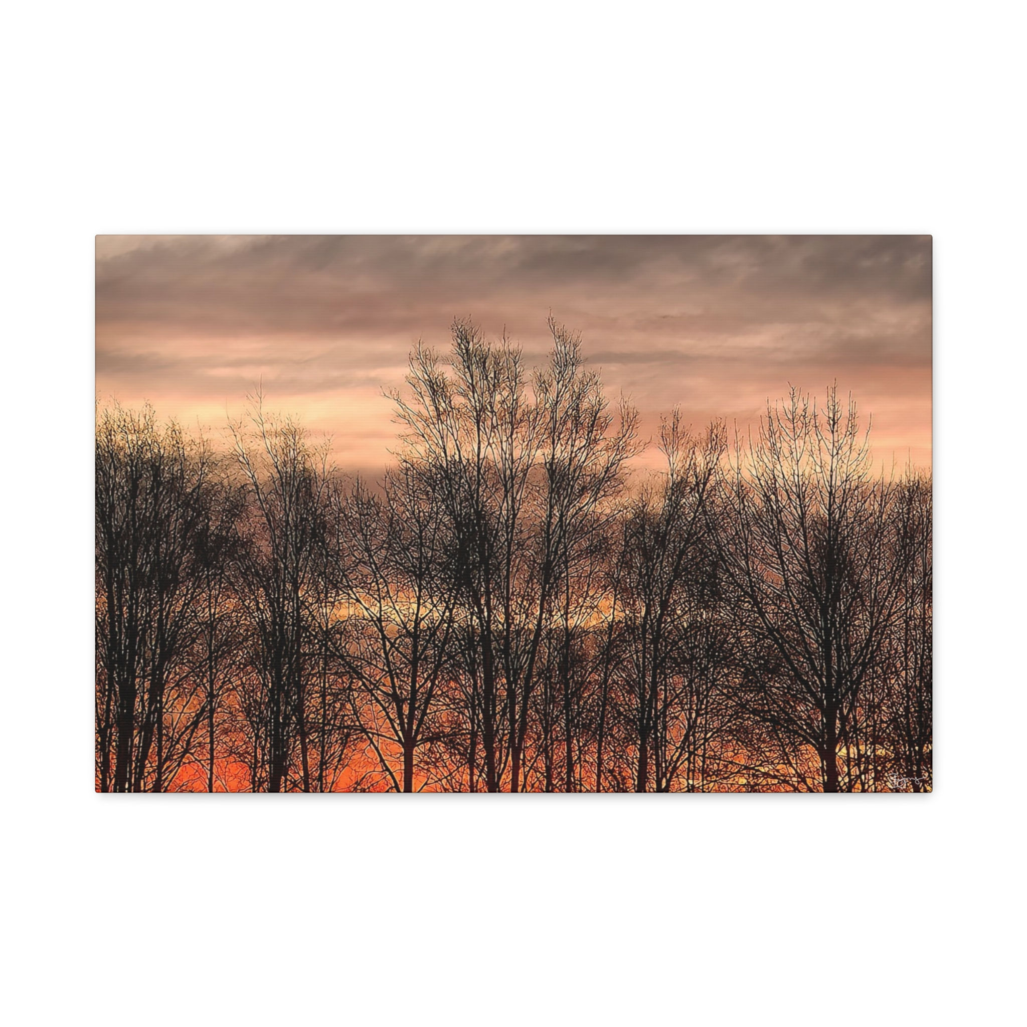Nightly Stand Canvas Print