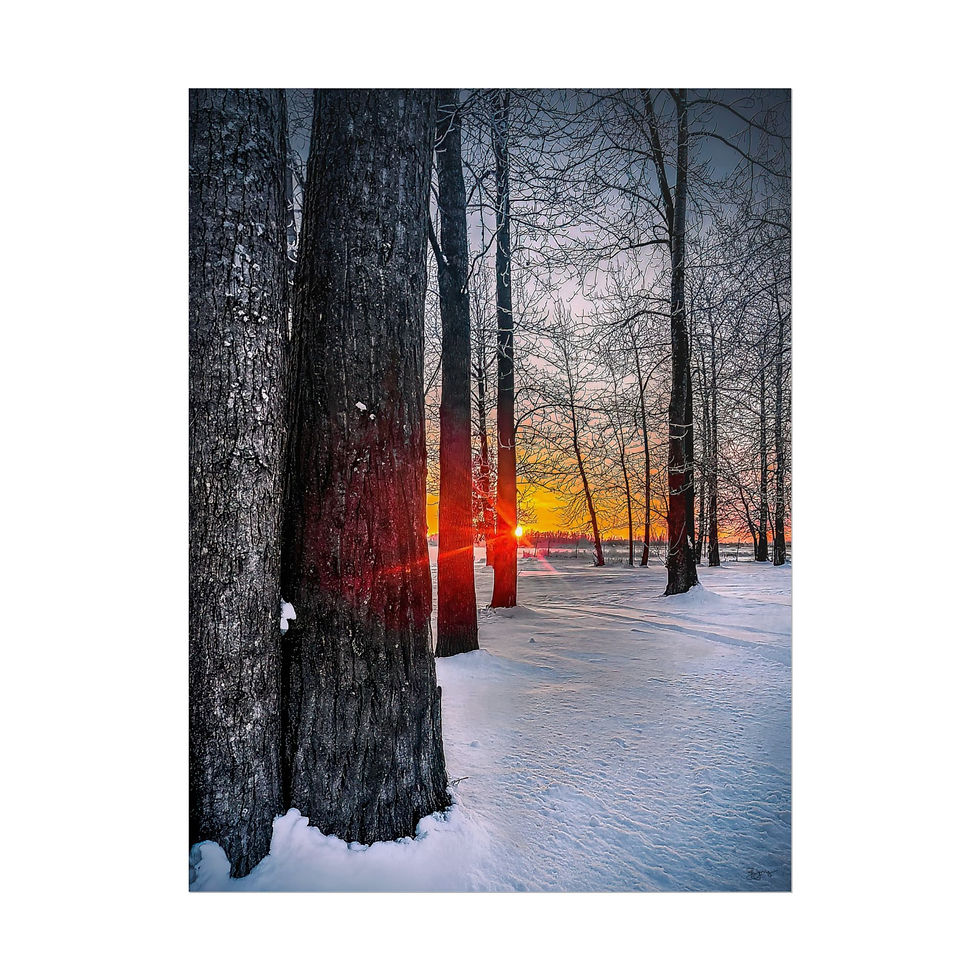 Thumbnail: Winter Pulse Premium Print