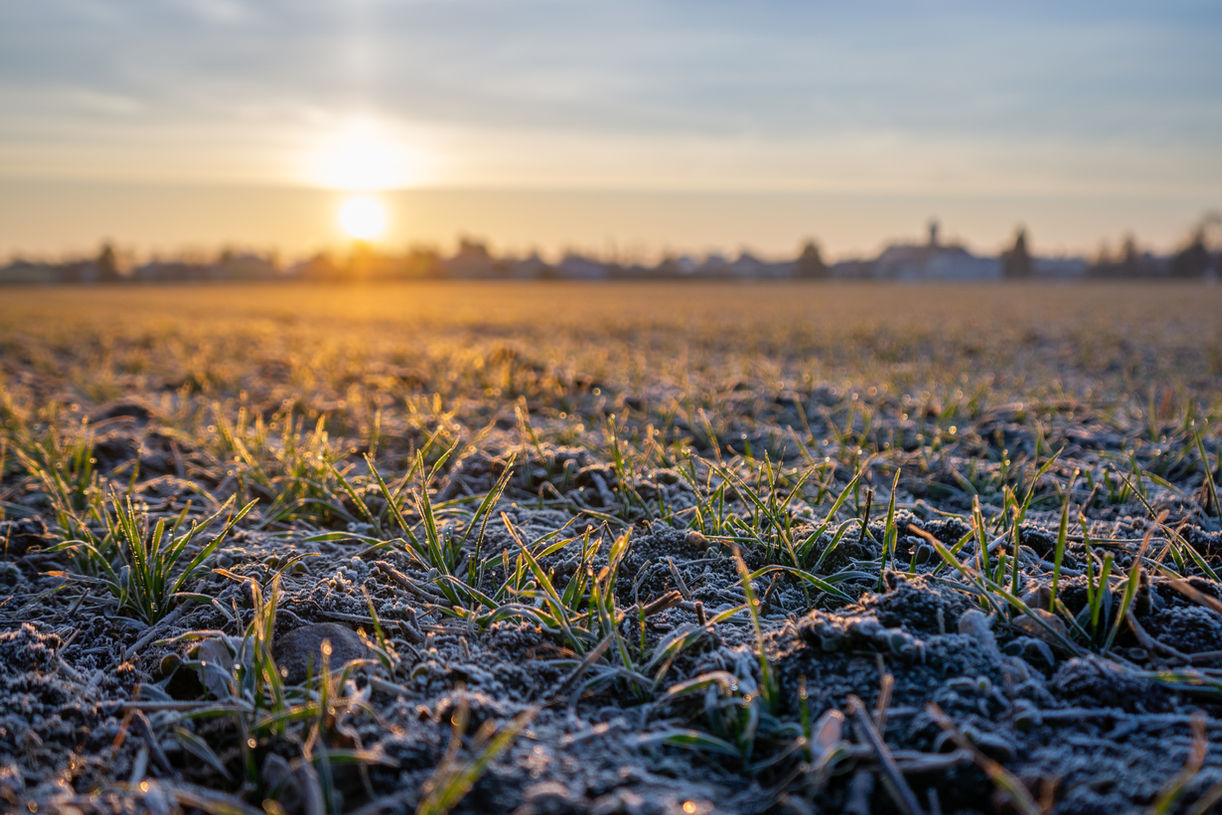 Benjamin Fellner Photography - Landschaftsfotografie - Sonnenaufgang in den Feldern in Vösendorf