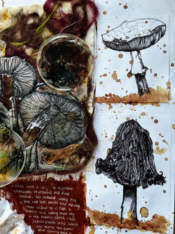 GCSE Art & Design
