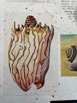 GCSE Art & Design