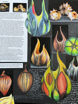 GCSE Art & Design