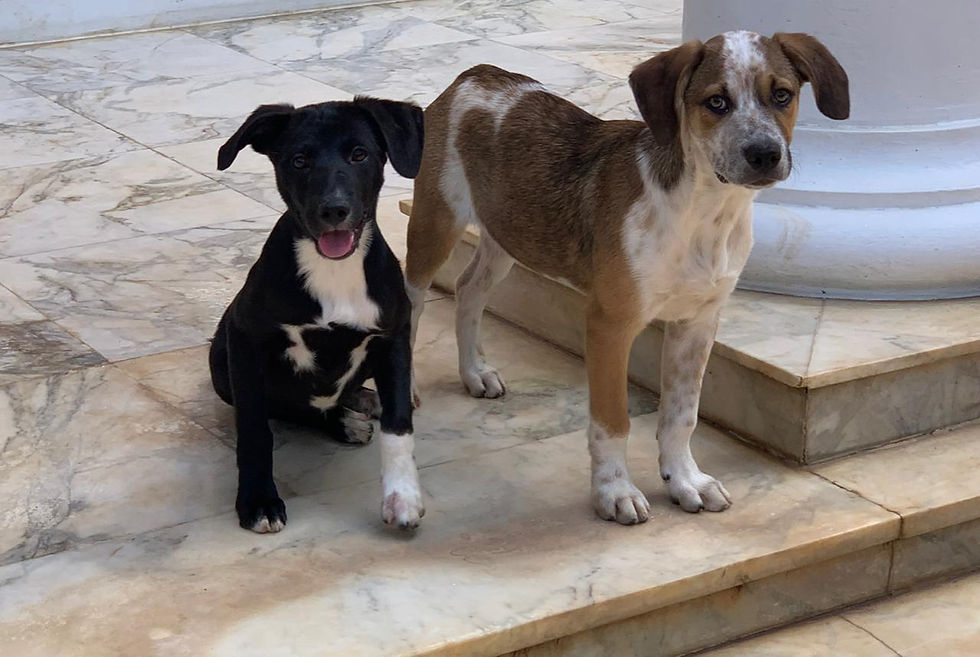 WhatsApp Image 2025-12-01 at 21.57.23 (2).jpeg