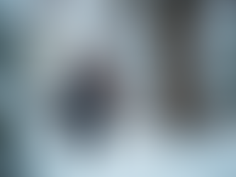 Why Winter is the Best Time for Tree Cutting Services by Tree Line