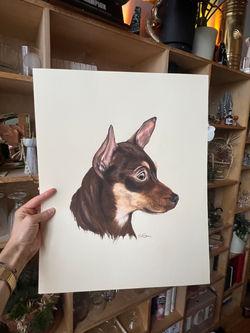 16" x 20"