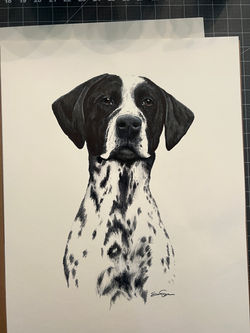 16" x 20"