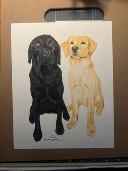 9" x 12"