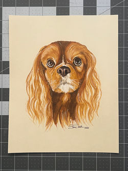 8"x 10"
