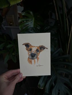 4" x 6"