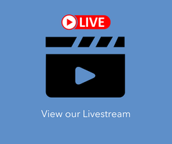 Livestream Link