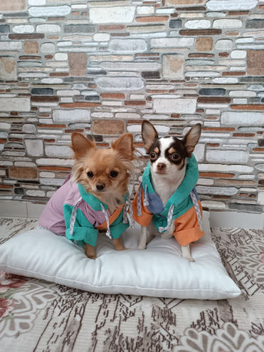 Yumuşak çocuk bornozu Rahat cocuk bornozu Pamuk Peştemal bornoz Sahil bornozu Yüzme Bornozu Havuz bornozu Okul Bornozu Banyo Havlu Köpek Bornozu Köpek kıyafeti Kurulanmak için bornoz Pamuk Havlu Emici Bornoz Emici Havlu mymagicrobe kapüşonlu bornoz kapşonlu bornoz panço bebek pançosu 
