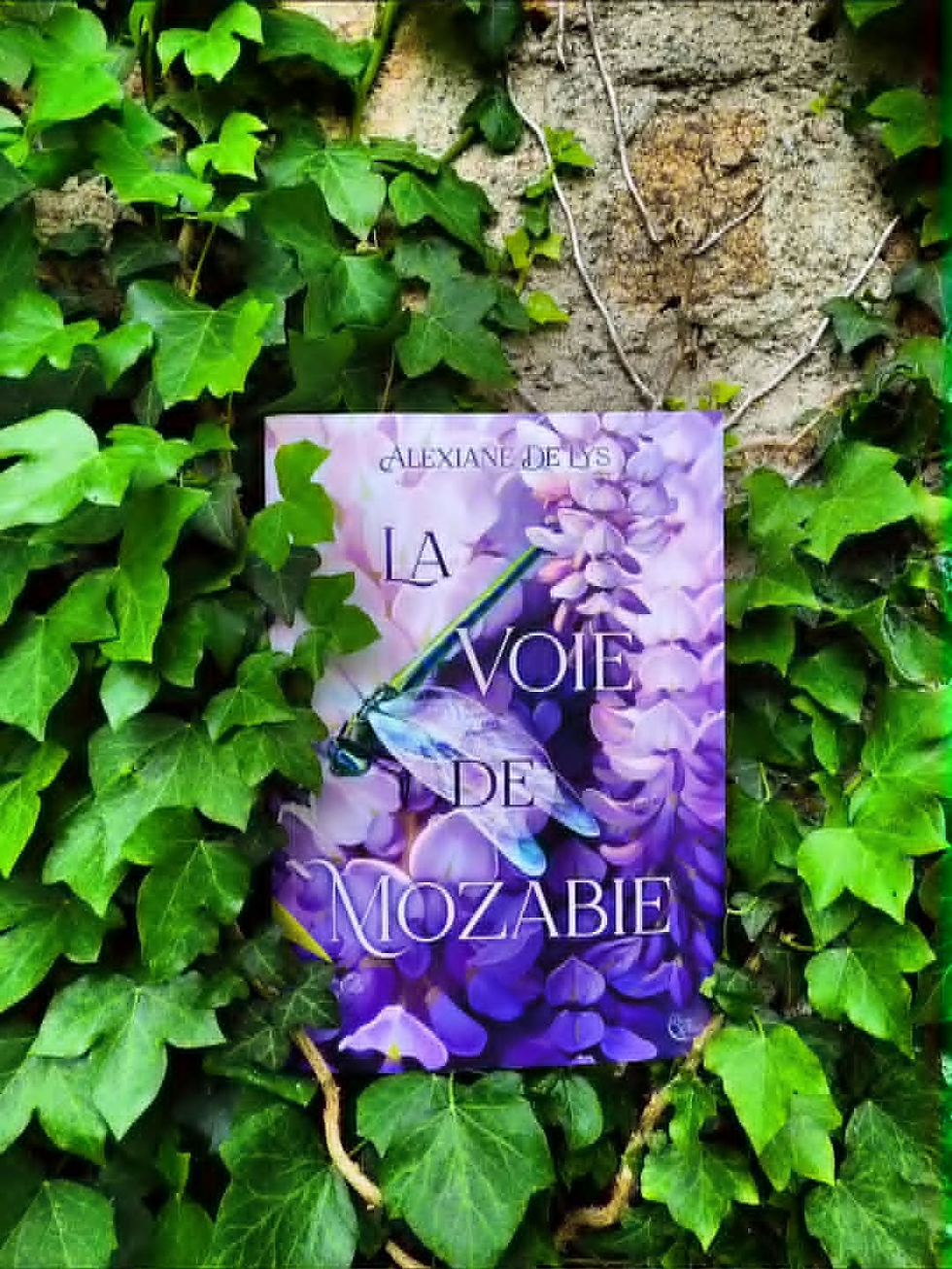 La voie de Mozabie - Alexiane de Lys