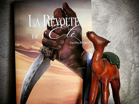 La révolte de l'Été - Djenny Bergiers