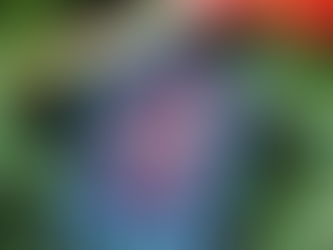 Fauve - Léna Jomahé