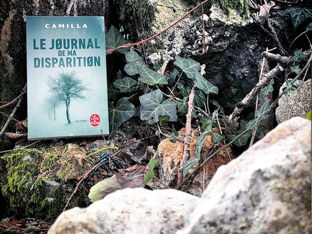 Le journal de ma disparition - Camilla Grebe