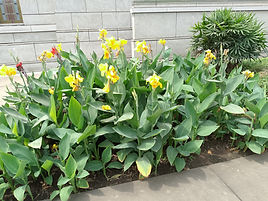 IMG_20240130_120846_934.jpg
