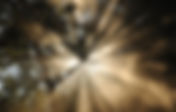 Problems of biological darkness