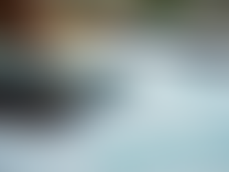 Steps for Buying Your Dream Home