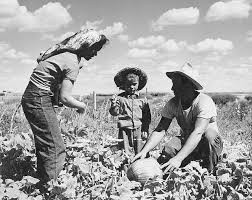 Why your great grandparents didn’t have food allergies…but you do