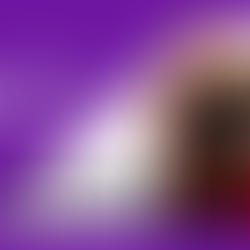 Sinfonia Concertante with Wellington Chamber Orchestra