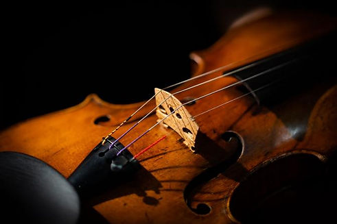 SetHeight447-Guarneri-Mark-Robinson (1).jpeg
