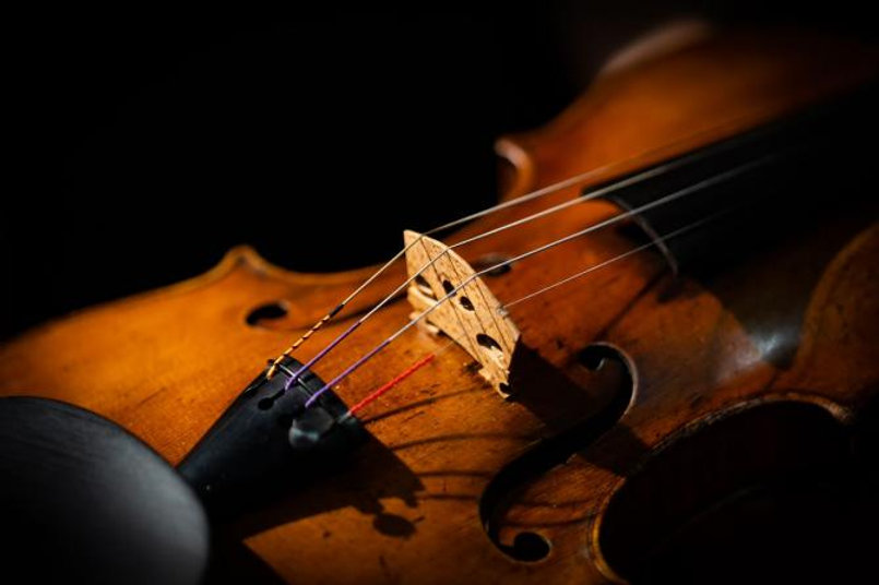 SetHeight447-Guarneri-Mark-Robinson (1).