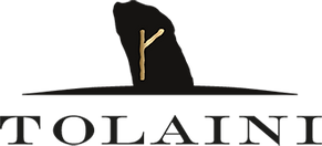 tolaini-logo.png