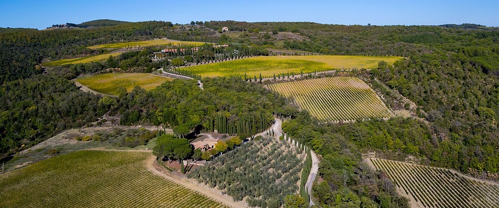 AERIAL VIEW 1.jpg