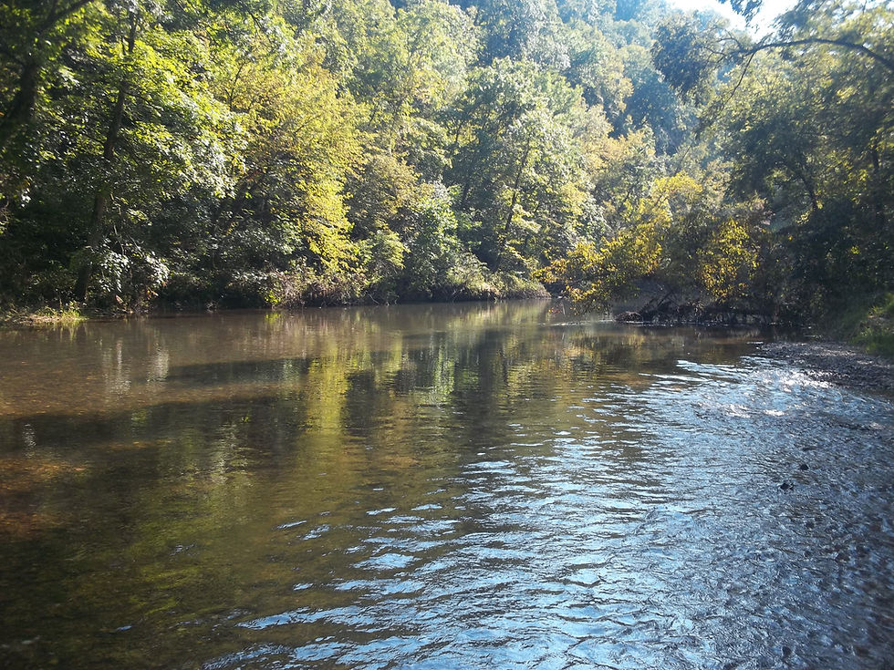 Current River Early Fall