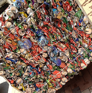 Waste Management