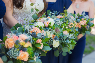 Gorgeous Color Pallette