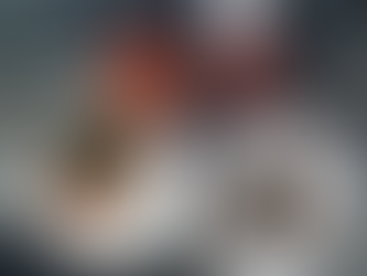 The Slow Rhode Critique