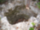 Banana Hole 3.JPG
