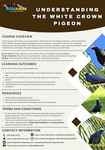 From the Ground Up White Crown Pidgeon Day Course  (1).jpg