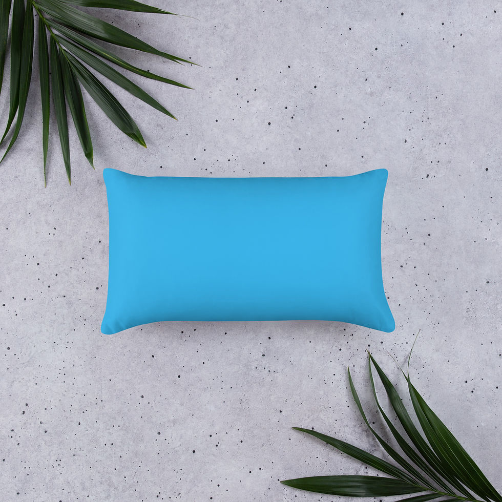 Thumbnail: Naughty Nice Hey I Tried Basic Pillow