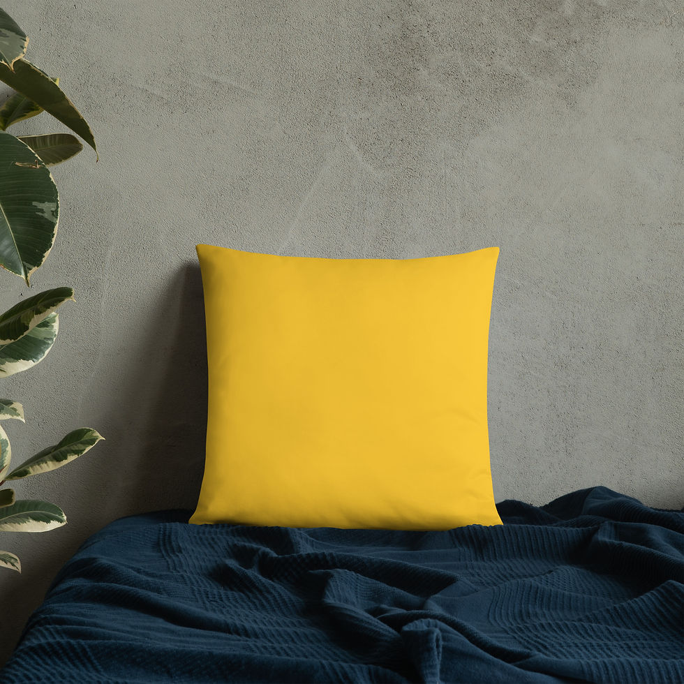 Thumbnail: Best Selling Author Basic Pillow