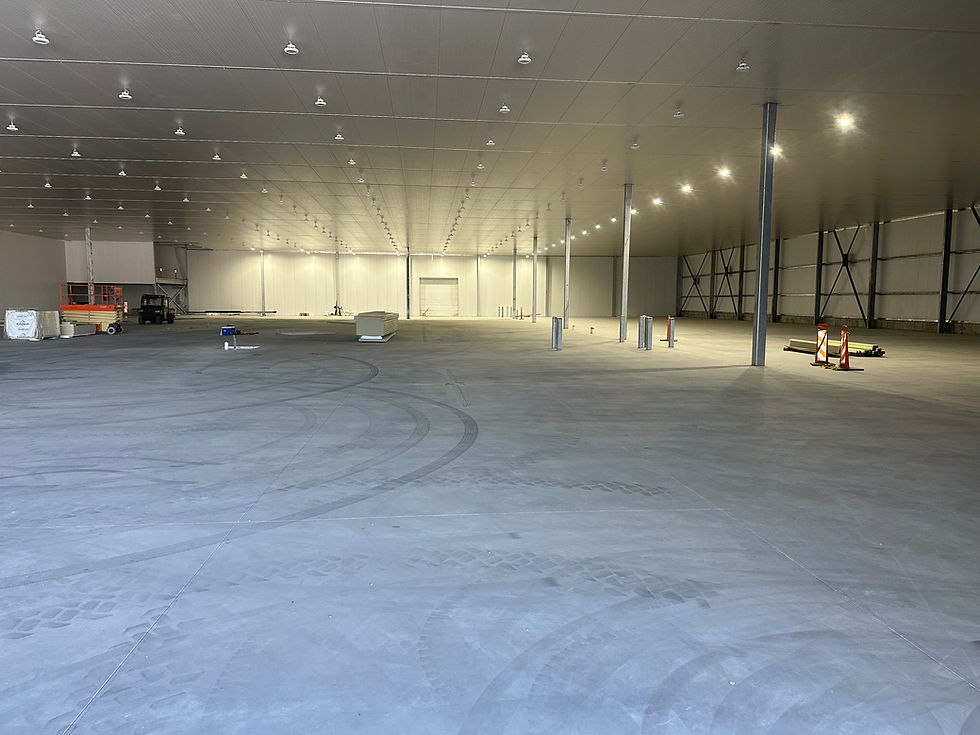 Copy of IMG_9138.jpeg