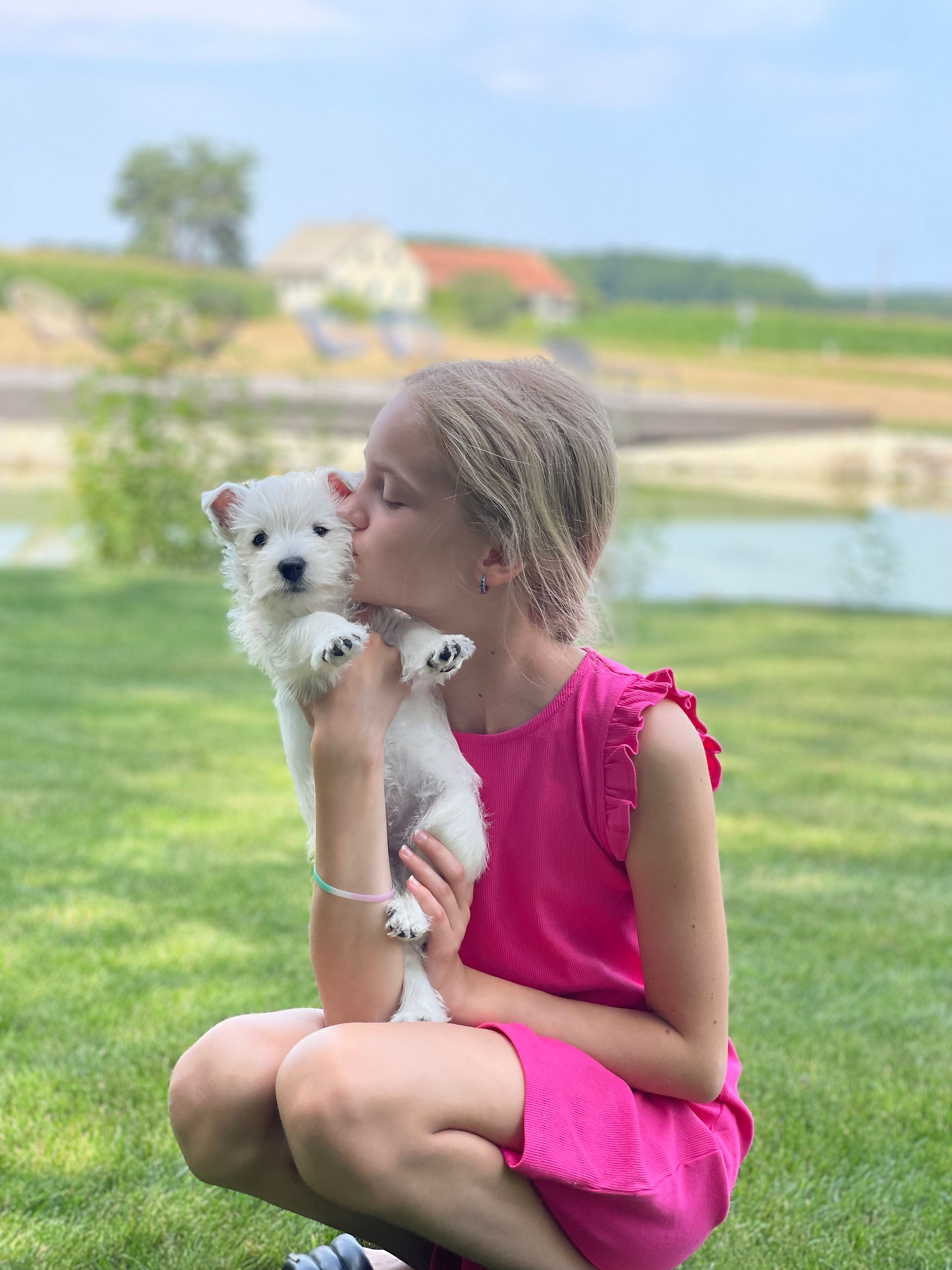 West Highland White terrier - Zahodnovišavski beli terier