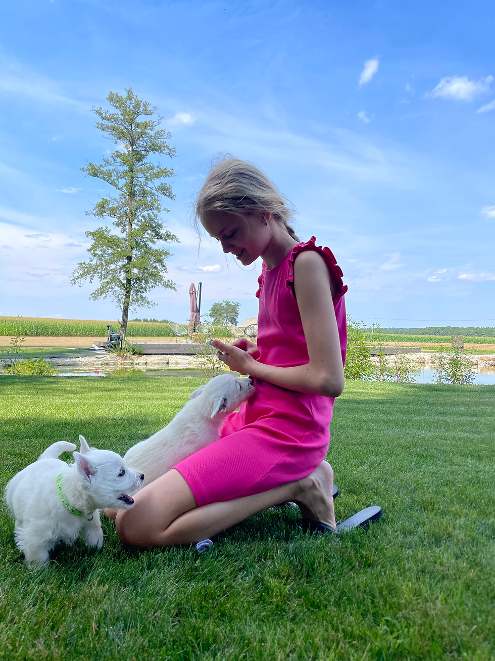 Zahodnovišavski beli terierji