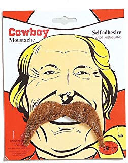 Thumbnail: Cowboy disguise kit from £15.00