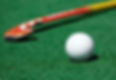 Field Hockey Stick_edited.jpg