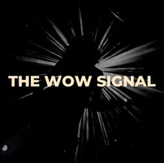 The Wow Signal