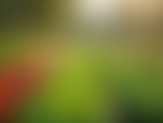 Transform Your Backyard This Spring with These 6 Essential Additions