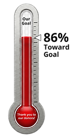 imageedit_1_8173125216.png