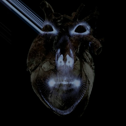 dbh.PNG