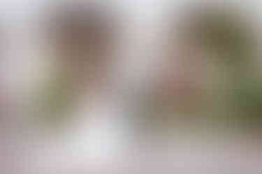 Bride and groom portraits for Villa & Vine Santa Barbara Wedding 