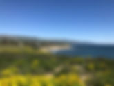 A Roadtrip Guide to the Pacific Coast Highway in California