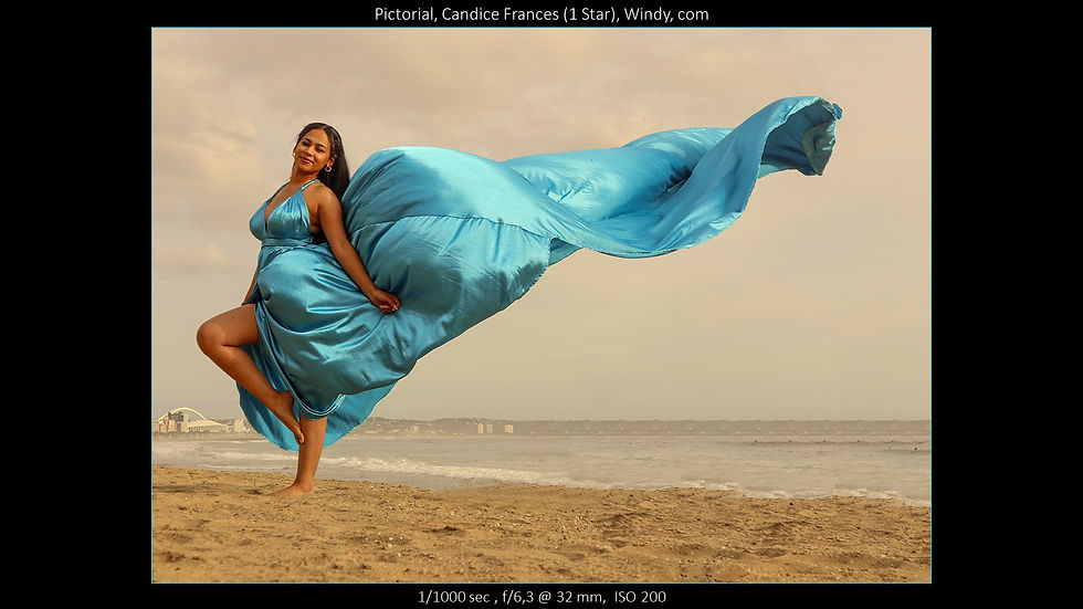 Windy - Candice Frances
